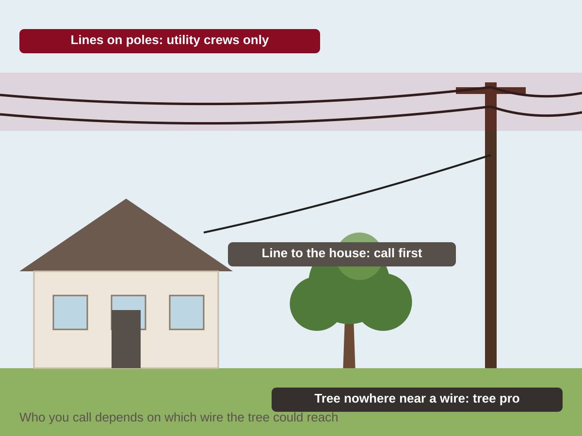 Drawing of a house on the left, a small tree in the yard and a utility pole on the right, with the lines on the pole labeled for utility crews only, the line to the house labeled call first, and the tree away from wires labeled for a tree pro