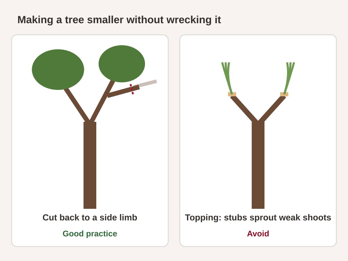 Two-panel drawing: on the left, a branch shortened by cutting back to a side limb, marked good practice; on the right, a topped tree with stubs sprouting clusters of thin shoots, marked avoid