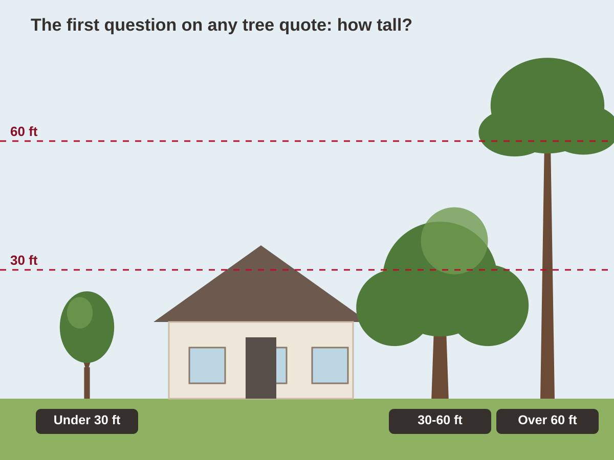 Drawing of a one-story ranch house between three trees, with dashed lines at 30 and 60 feet: a small pear under 30 feet, a broad oak between 30 and 60 feet and a tall tree over 60 feet